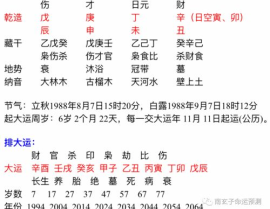 八字 七杀,七杀之力，解析命运起伏
