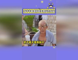 娱乐吃瓜搞笑剪辑视频在线观看,在线观看乐翻天