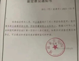 娱乐吃瓜酱死亡证明,揭开死亡证明背后的真相