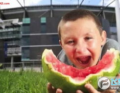 娱乐吃瓜小男孩是谁,他是谁？为何成为网络红人？