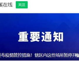 娱乐暂停,揭秘疫情下的文化新生态