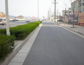 行道树间距,“行道树间距的科学规划与城市绿化美学”