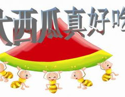 娱乐吃瓜ppt,揭秘娱乐圈幕后故事与热点事件