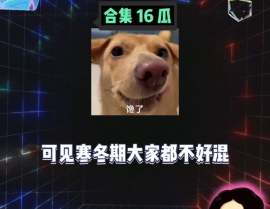 娱乐吃瓜酱网暴,揭秘网络暴力的残酷真相