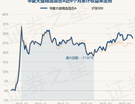 华夏精选基金净值,业绩稳健，投资亮点纷呈