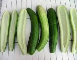 娱乐吃瓜酱浙江,揭秘浙江娱乐圈的那些事儿