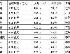 中国十大咨询公司排名,揭秘十大咨询公司实力榜