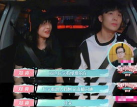 爱宠张表哥和娱乐吃瓜君,揭秘娱乐圈背后的温馨故事