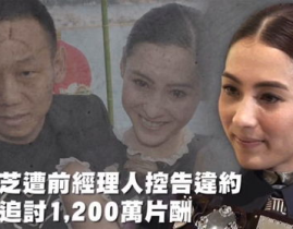 娱乐吃瓜趣闻,明星们的吃瓜趣闻大盘点