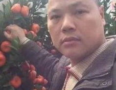 娱乐吃瓜橘子哥是谁,网络红人的崛起之路